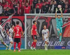 天津津门虎主场告捷,士气明显提升 天津津门虎主场告捷,士气明显提升